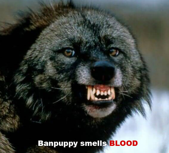 banpuppy_blood.jpg