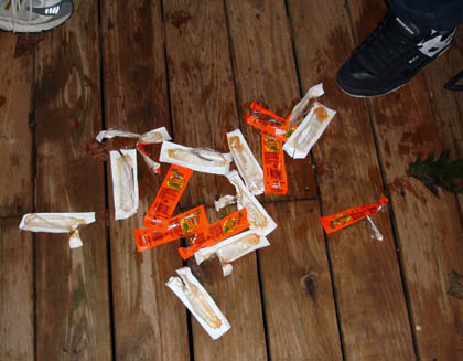 fallen soldiers
