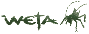 Weta