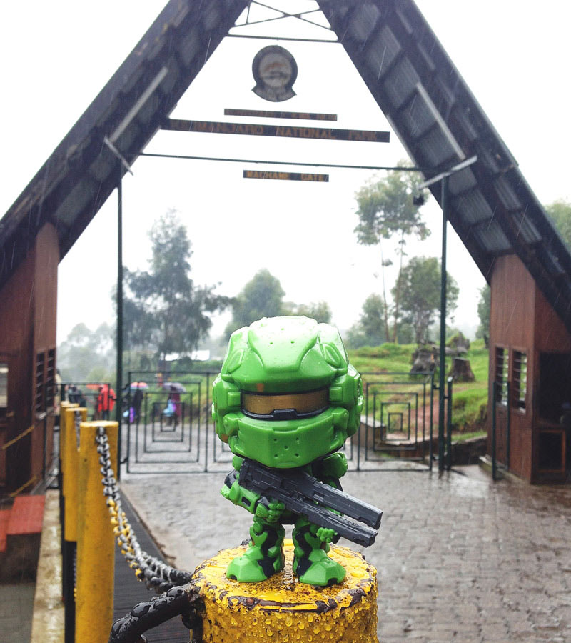 TimeliestBrute Kilimanjaro summit