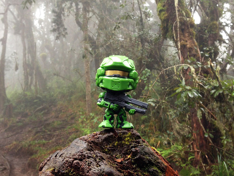 TimeliestBrute Kilimanjaro summit