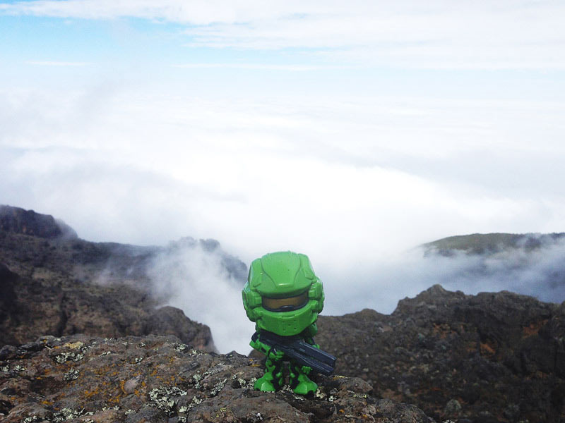 TimeliestBrute Kilimanjaro summit