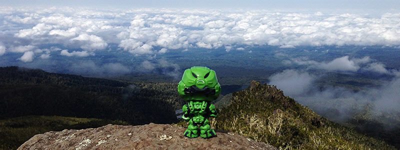 TimeliestBrute Kilimanjaro summit